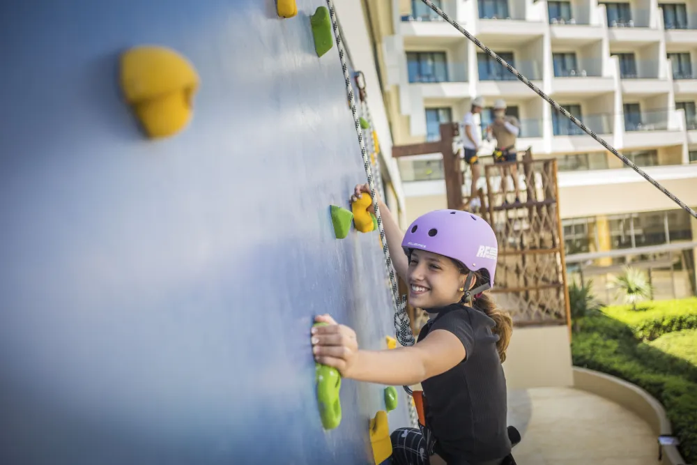 Climbing Wall